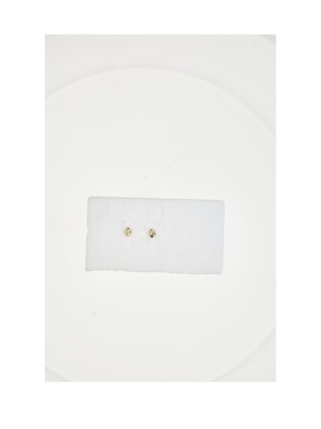 DIOR OS lady spark earrings