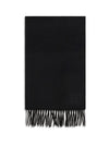 dalia cashmere scarf