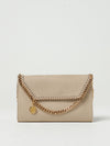 woman's mini bag