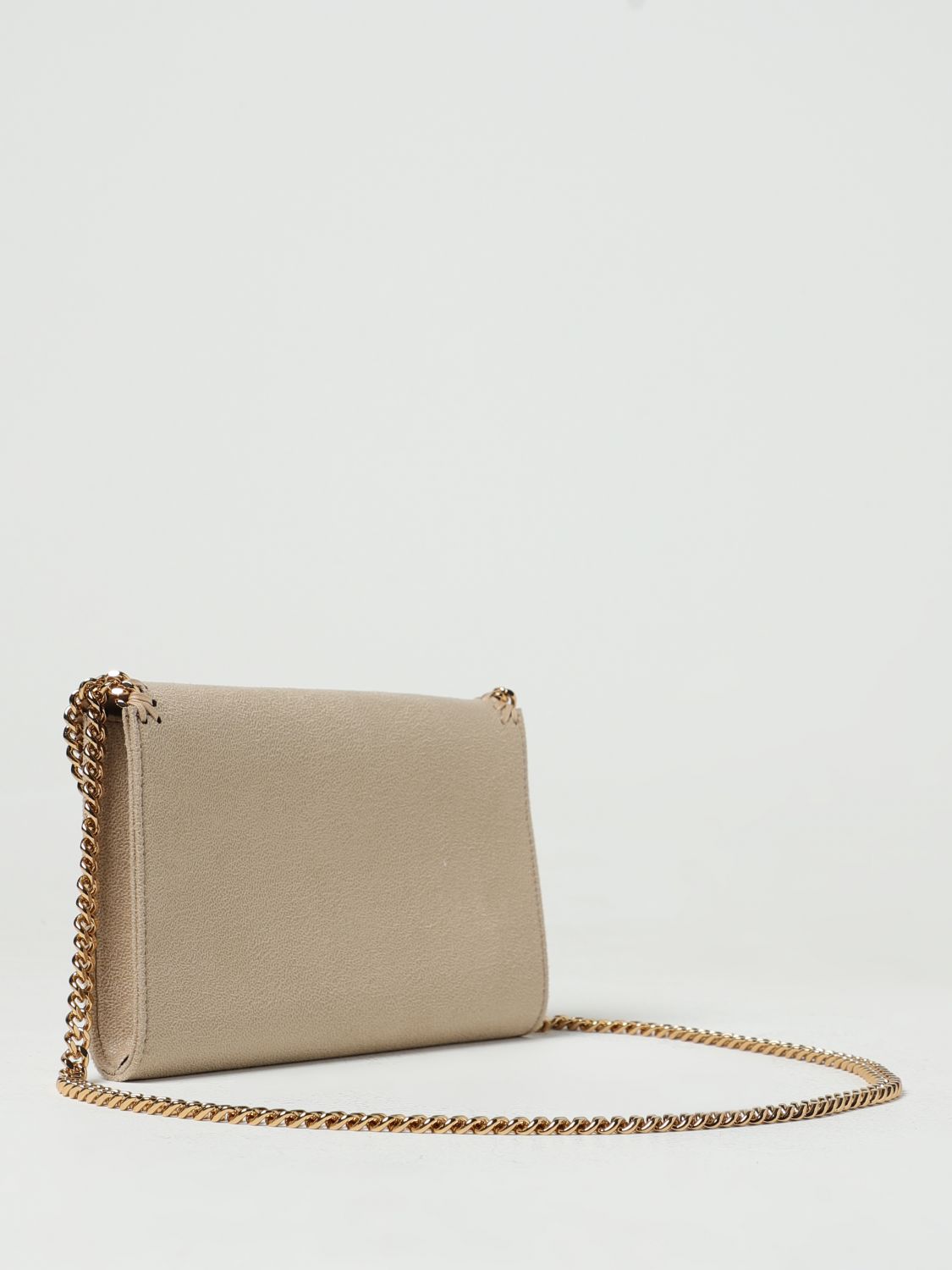 woman's mini bag
