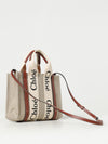 woman's handbag chloé