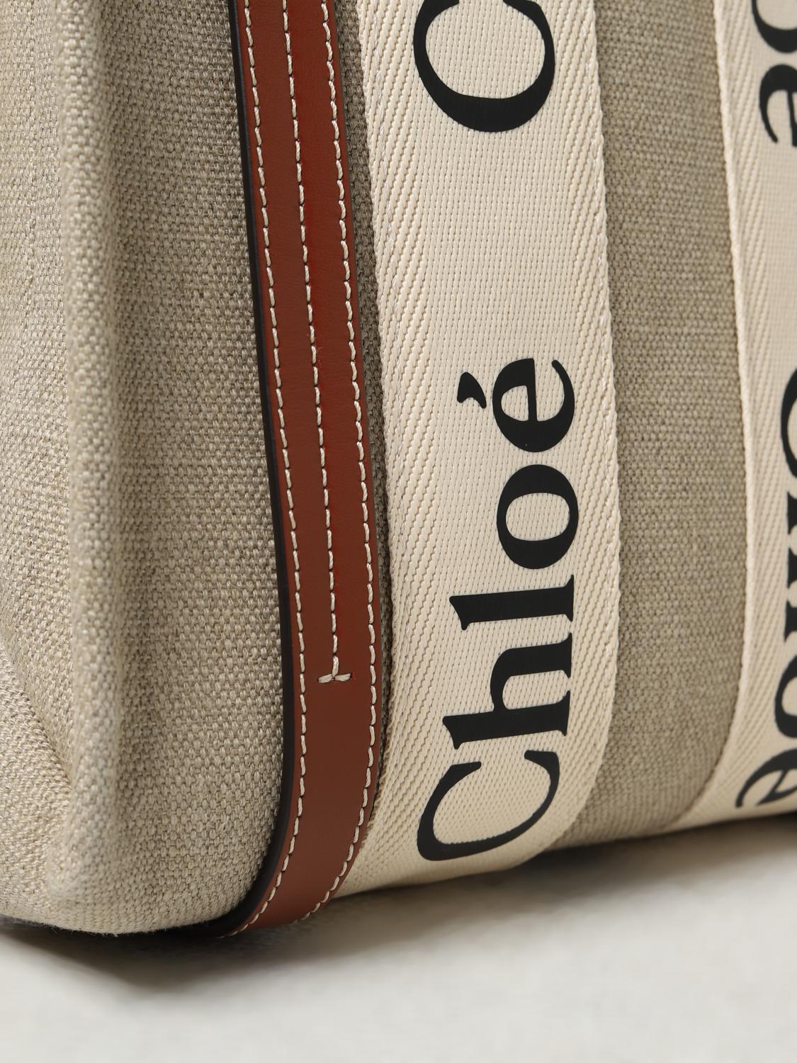 woman's handbag chloé
