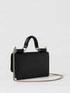 woman's mini bag
