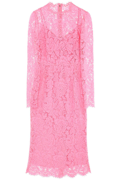 midi dress in floral cordonnet lace