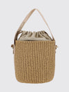 woman's mini bag chloé