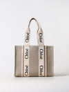 woman's shoulder bag chloé