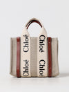 woman's handbag chloé