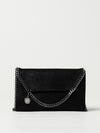 woman's mini bag