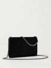 woman's mini bag
