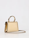 woman's mini bag