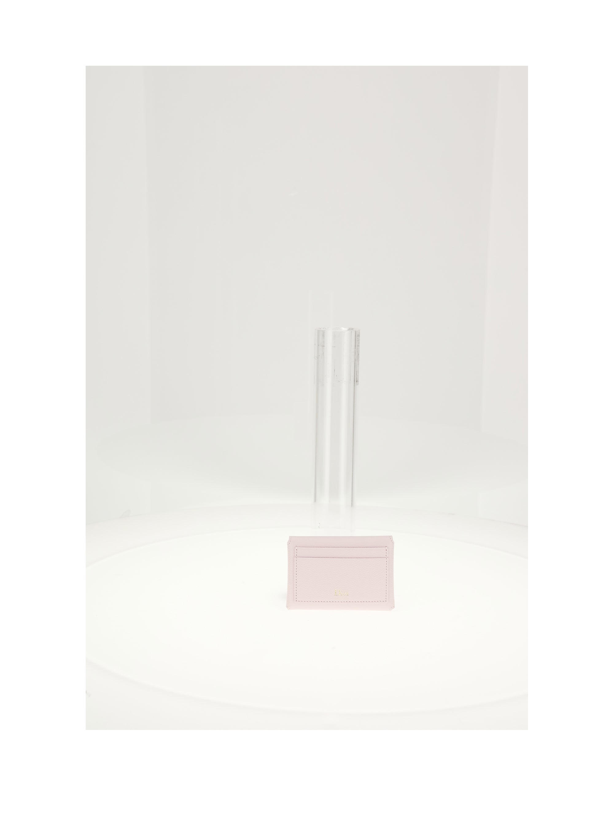 dior medalljon card holder
