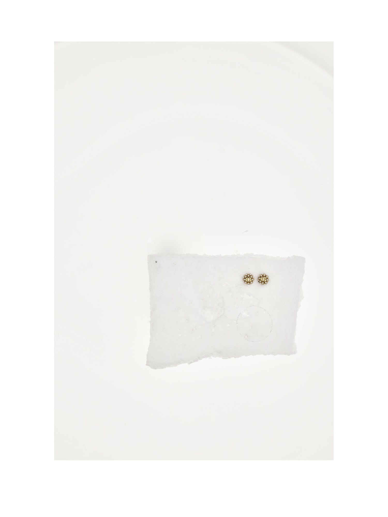 DIOR OS dior tribales earrings