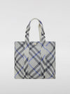 woman's shoulder bag