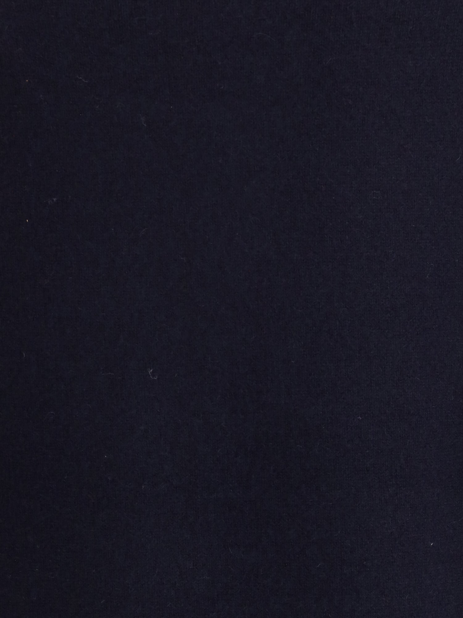 EXTREME CASHMERE OS crewneck sweater n°431 mike in cashmere