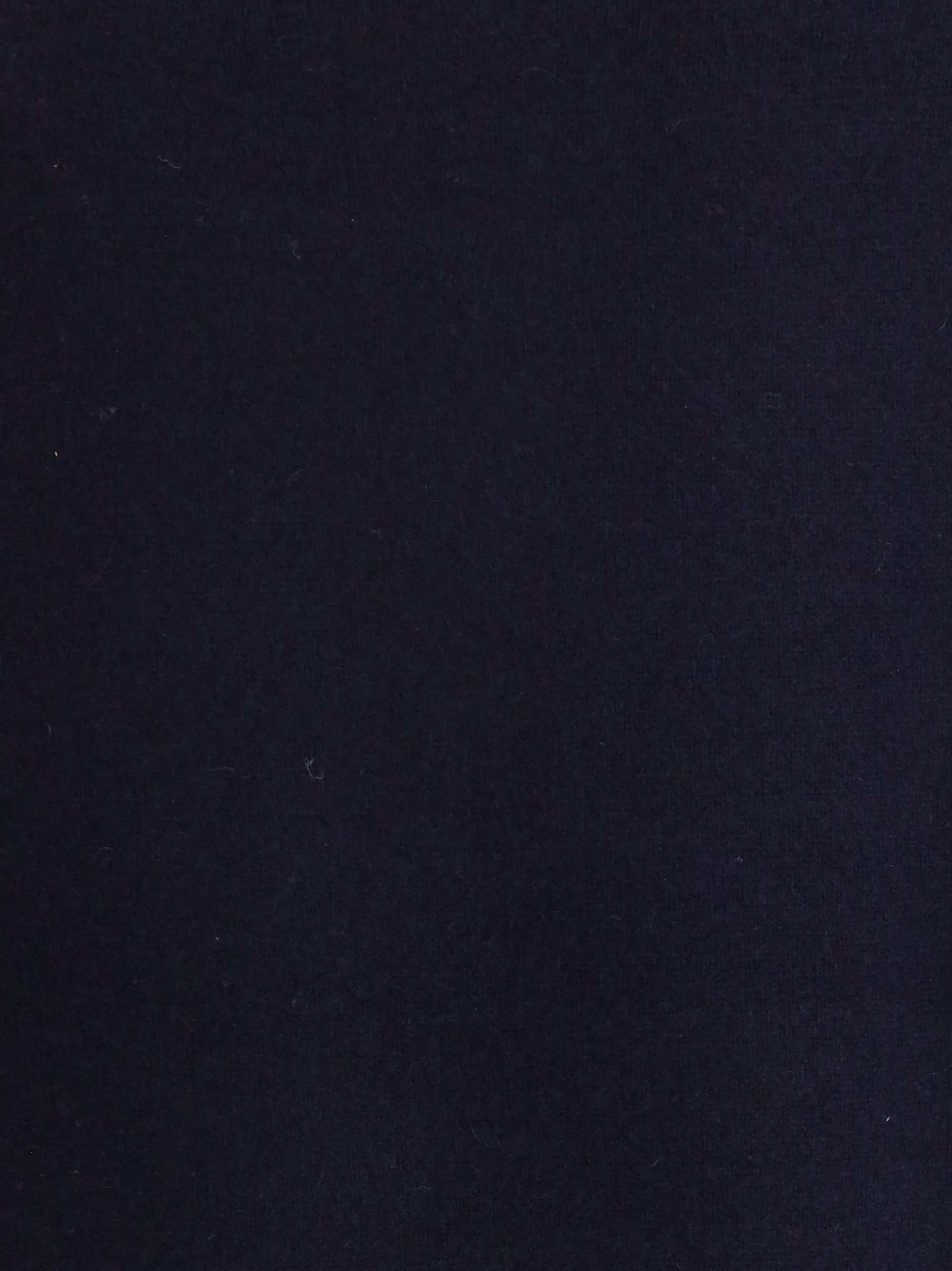 EXTREME CASHMERE OS crewneck sweater n°431 mike in cashmere