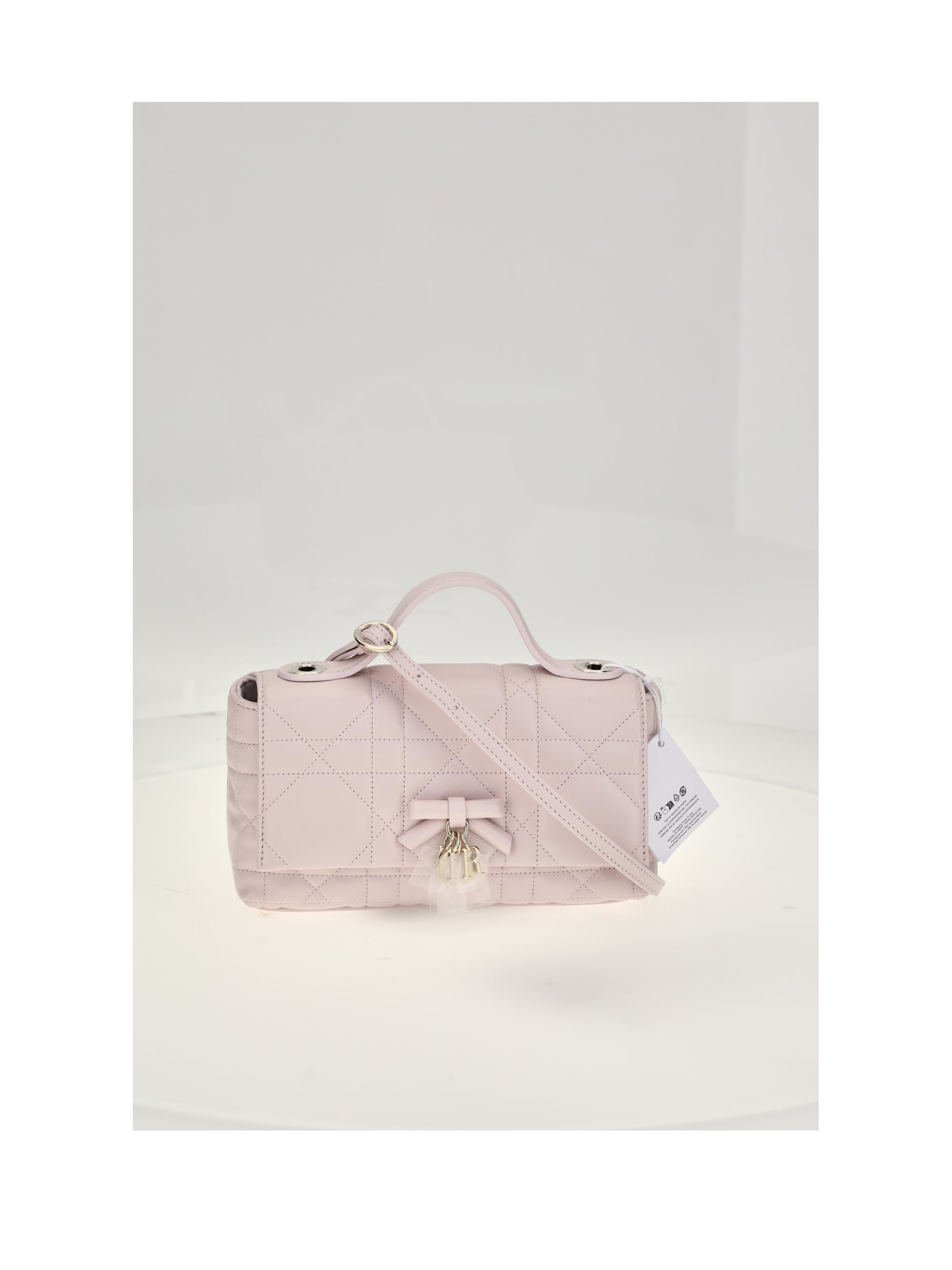 my dior mini bag
