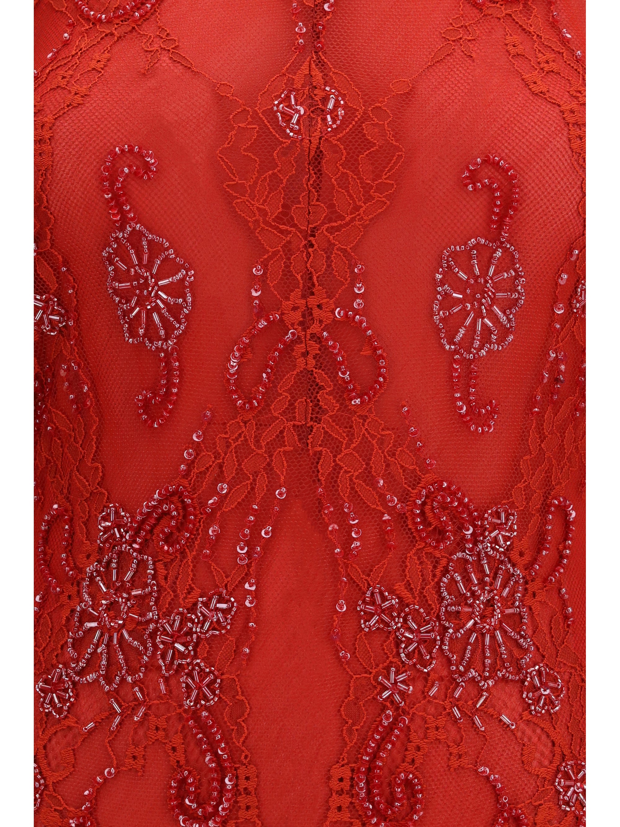 embroidered lace mini dress