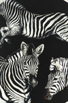 the dolce & gabbana silk stole presents an impactful visual narrative through it