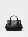 woman's mini bag