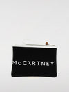 woman's mini bag