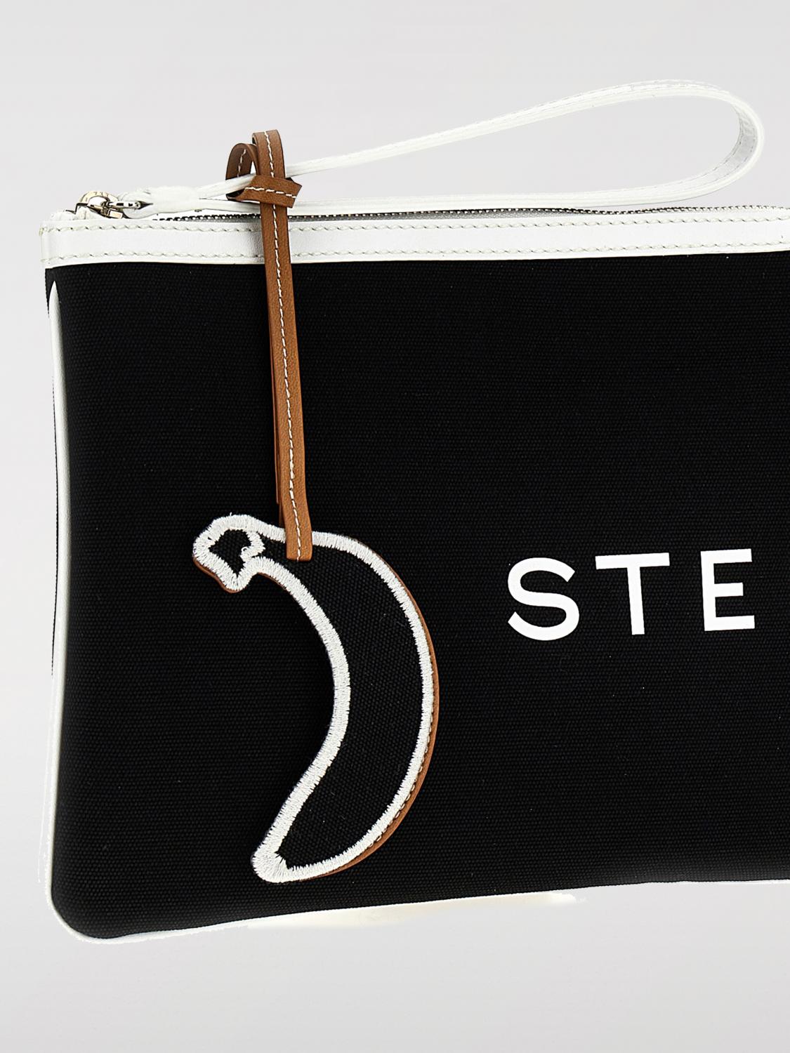 woman's mini bag