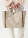 woman's handbag chloé