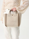 woman's tote bag chloé