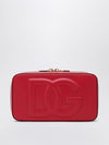 woman's mini bag