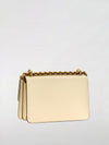 woman's mini bag