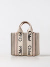 woman's handbag chloé