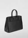 woman's handbag