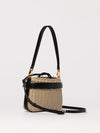 woman's mini bag