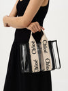 woman's handbag chloé
