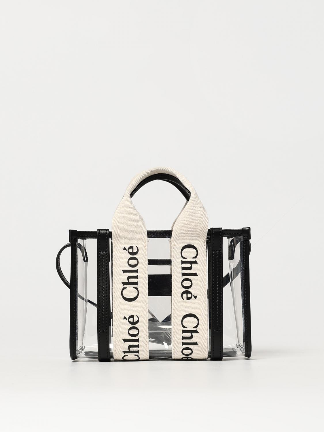 woman's mini bag chloé