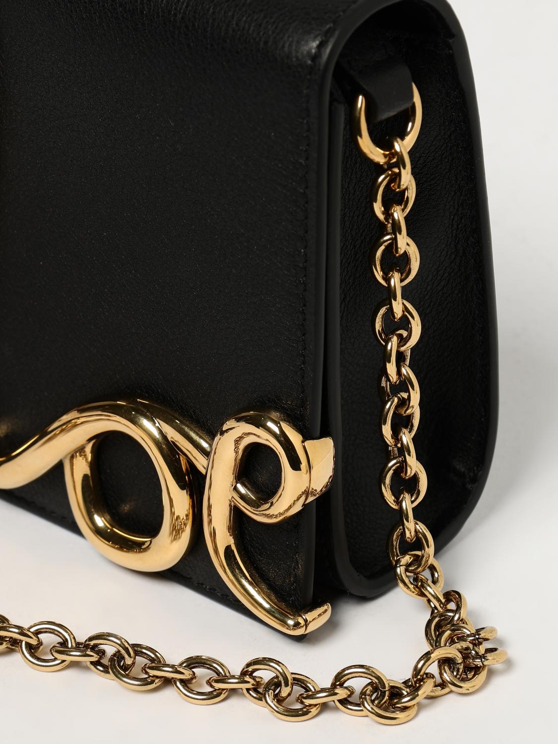woman's crossbody bag chloé