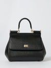 woman's handbag