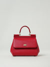 woman's handbag