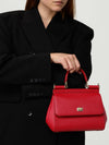 woman's handbag