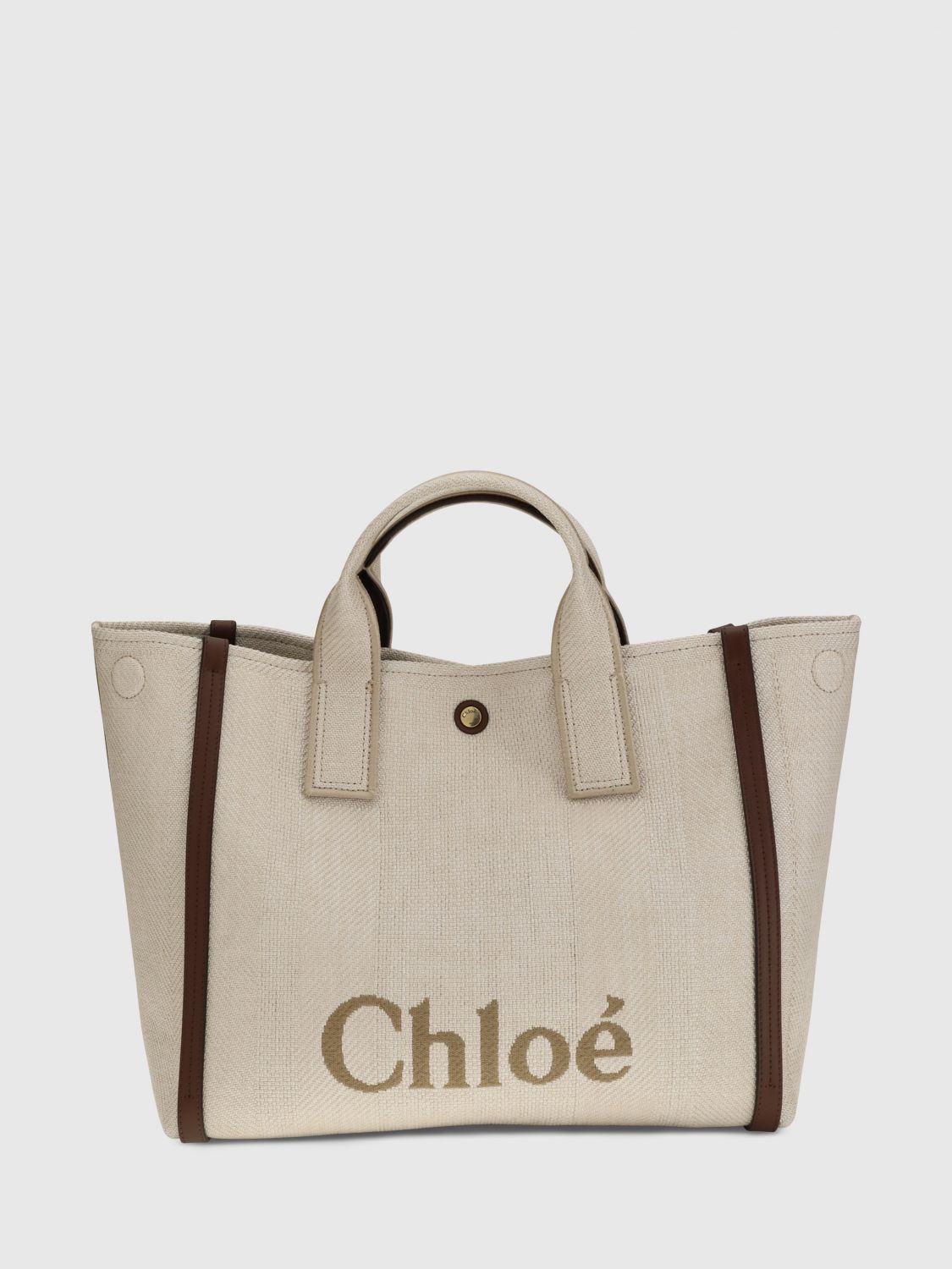 woman's handbag chloé