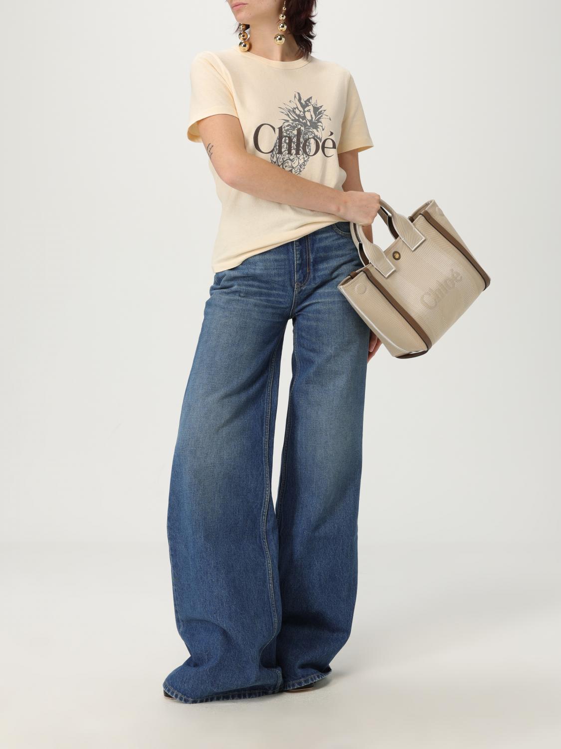 woman's handbag chloé
