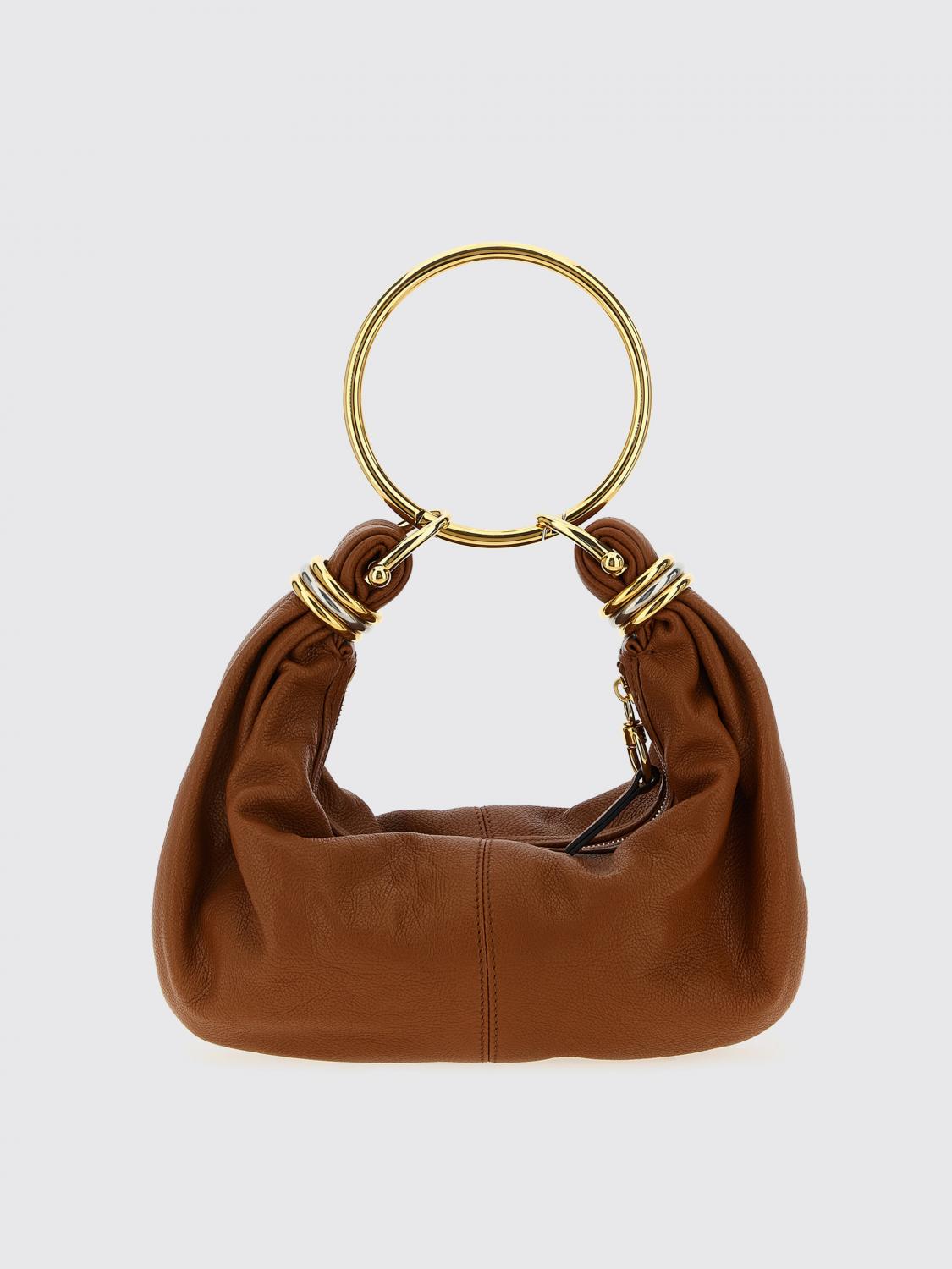 woman's handbag chloé
