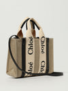 woman's handbag chloé