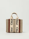 woman's handbag chloé