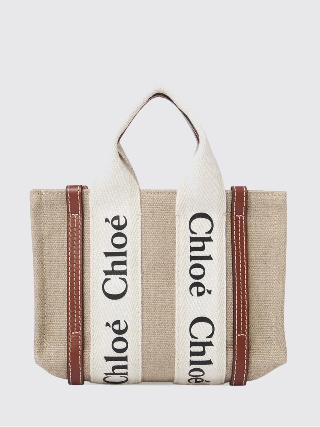 woman's mini bag chloé