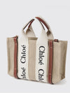 woman's mini bag chloé