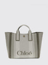 woman's handbag chloé
