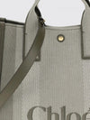 woman's handbag chloé