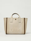 woman's handbag chloé
