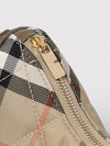 woman's mini bag