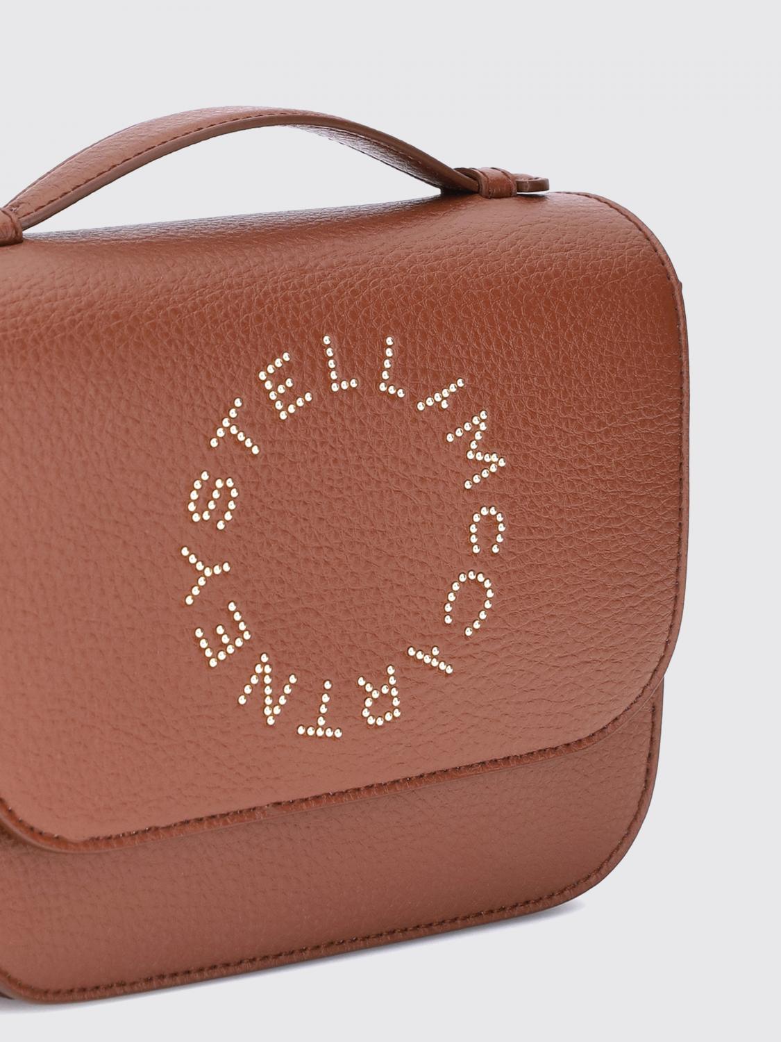 woman's mini bag